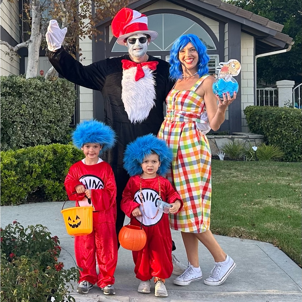 Thing 1 and Thing 2 Kids / Family Cat in the Hat Costume Set